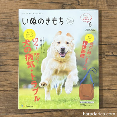 いぬのきもち 2025年6月号