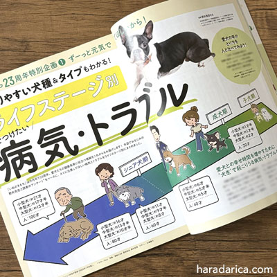 いぬのきもち 2025年6月号